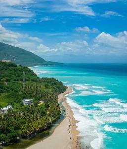 an aerial view of a beach and the ocean at Beautiful sea front apartment in Paraíso