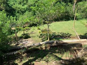 a tree branch on a swing in a forest at JOSEPH GUEST HOUSE in Kelimutu
