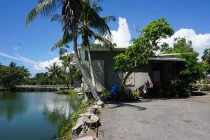 een huis met een palmboom naast een waterlichaam bij The Leaf Homestay in Lutong