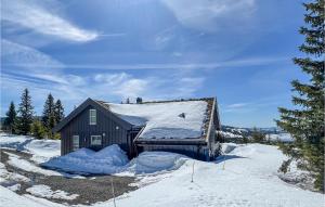 a house covered in snow with snow around it at Nice Home In yer With Sauna, Wifi And 4 Bedrooms in Øyer