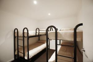 two bunk beds in a room with a wall at Elkhorn 7 in Mount Buller