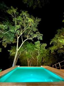 Santa María Huatulco的住宿－4 Villas equipadas con alberca en Huatulco, Oaxaca，绿色游泳池,后面有树
