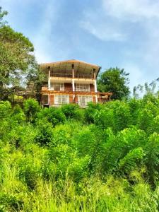 Zahrada ubytování Brisk Ella Retreat + 37 fotografií