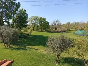 un gran campo verde con árboles y una valla en Podere Pozzo Fatato en Monsummano