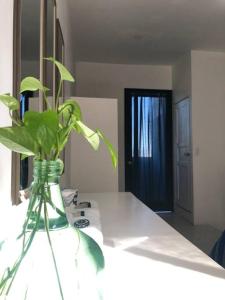 a vase with a plant sitting on a counter at D2 Hermoso condominio privado in Tijuana