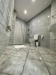 uma casa de banho com um WC e um lavatório em Del Ponte em Svilengrad