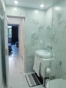 uma casa de banho com um lavatório branco e um espelho. em Apart Maya em Calafat