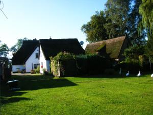 a house with a yard with birds in the grass at Ferienhaus mit Boddenblick in Middelhagen