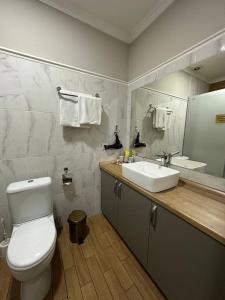 a bathroom with a toilet and a sink and a mirror at Gоlden Dragon Villa Hotel in Bishkek