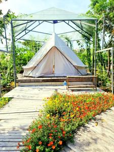 a tent in a garden with a bench and flowers at Suối Đá F-Glamping in Ấp Long Lâm