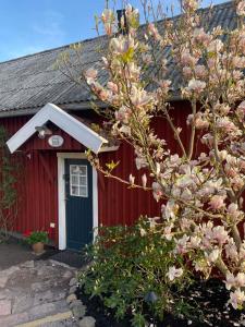 ein rotes Haus mit einem blühenden Baum davor in der Unterkunft Fogdarps B&B -Eget gästhus- in Förslöv