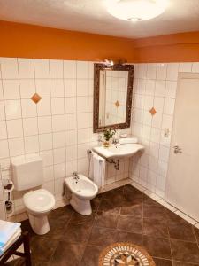 uma casa de banho com um lavatório, um WC e um espelho. em Hotel Rosenheimer Hof em Traunstein