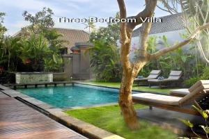 a swimming pool with a tree in a backyard at Villa D'Suite in Seminyak