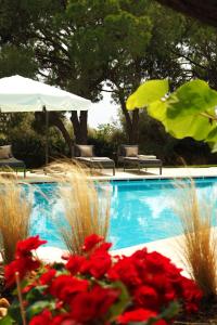 Bazén v ubytování Villa Oasis with Large Pool Athenian Riviera Lagonissi nebo v jeho okolí