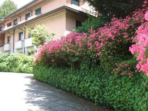 Zahrada ubytování Hotel Canturio