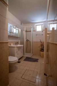 La salle de bains est pourvue d'une douche, de toilettes et d'un lavabo. dans l'établissement Soraja Apartments Izola, à Izola
