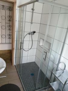 a shower with a glass door in a bathroom at Wohnung Martha in Bayerisch Eisenstein +11 photos