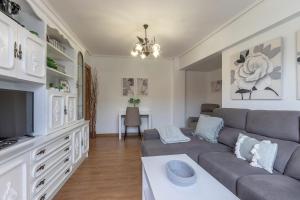 salon z kanapą i telewizorem w obiekcie Amplio y Luminoso en Leioa w mieście Leioa