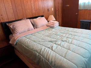 1 cama grande con edredón blanco y lámpara en A Quaint, Private 1 Bdrm Apt, en South Bend