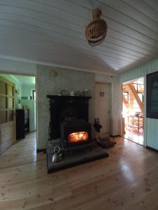 sala de estar con chimenea en una habitación con suelo de madera en Engures māja - mežs un jūra, en Engure