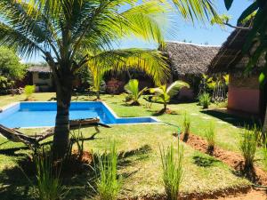 a pool in the yard of a house with a palm tree at Le Trou Normand in Diego Suarez