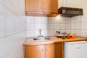 A kitchen or kitchenette at Nikiana Club - Studio 10