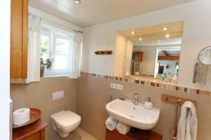 a bathroom with a sink and a toilet and a mirror at Rechenpeterhäusle in Fischerbach
