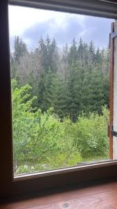 una finestra con vista su un bosco di alberi di L'Ermitage de Meyriat a Brénod