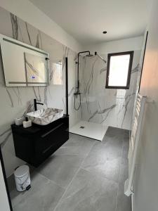 ein Bad mit einer Dusche, einem Waschbecken und einem Spiegel in der Unterkunft Villa Les Vieux Chênes in Vacqueyras