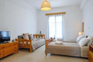 a bedroom with two beds and a tv and a couch at VIRI VIRI APARTMENTS in Lilikás