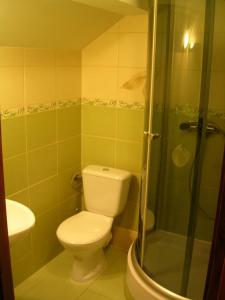 a bathroom with a toilet and a shower at Pokoje gościnne u Krysi in Mizerna