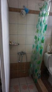 eine Dusche mit grünem Duschvorhang im Bad in der Unterkunft Ginî Viñis in Samarína