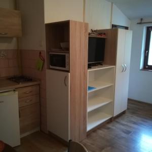 kuchnia z lodówką i kuchenką mikrofalową w obiekcie Ubytování Lumik w Jesioniku