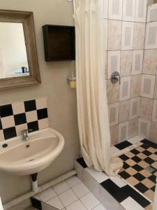 a bathroom with a sink and a shower curtain at Apartment 3 Magaliesberg in Brits