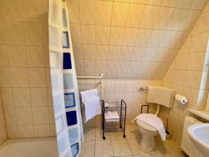 a small bathroom with a toilet and a sink at Finnhütten Mönchgut Finnhütte 67 in Gager +26 photos