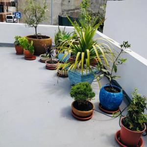 Zahrada ubytování "Casa Jasmin" 14 Calle Medina Quesada