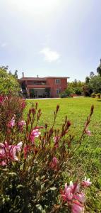 un arbusto con flores rosas delante de un edificio en Home Garden, en Siniscola