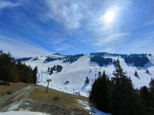 eine schneebedeckte Skipiste mit Skilift in der Unterkunft Chalet récent cœur station in Thollon