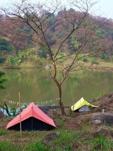 Deux tentes assises à côté d'un lac avec un arbre dans l'établissement Khanapara Hilltop Camp, à Guwahati