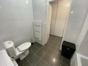 La petite salle de bains est pourvue d'une douche et de toilettes. dans l'établissement Le Skywalker : T2 avec parking & balcon, à Toulouse
