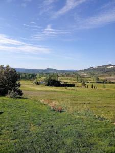 un campo de hierba con un cielo azul en el fondo en country house 5 minutes from the foot of Ventoux en Mormoiron