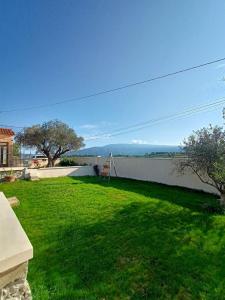 un patio con césped verde y una pared blanca en country house 5 minutes from the foot of Ventoux en Mormoiron