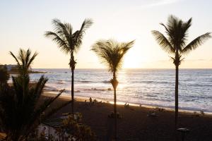 grupa palm na plaży o zachodzie słońca w obiekcie California Sweet Home w Puerto de la Cruz