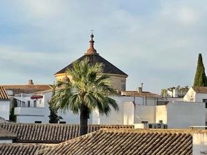 uma palmeira em frente a um edifício com uma igreja em El Rincón de la Mezquita 1 em Córdoba