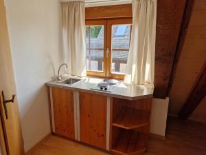 eine Küche mit einem Waschbecken und einem Fenster in der Unterkunft Hotel Aurichs in Meersburg