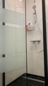 a shower with a glass door in a bathroom at Skrunda Apartments Elvira in Skrunda