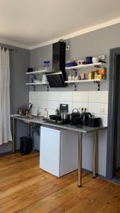 a kitchen with a counter with pots and pans on it at Skrunda Apartments Elvira in Skrunda