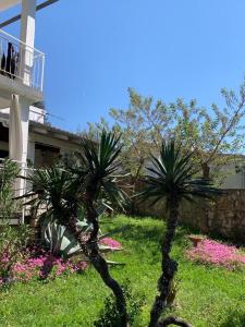 two palm trees in a yard next to a building at Green oasis Deda Božo in Rovinj