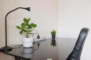 Kép Cozy Apartment near Center szállásáról Bécsben a galériában