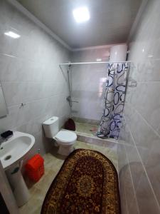 uma casa de banho com um WC, um lavatório e um chuveiro em Salute guest house em Kaji-Say